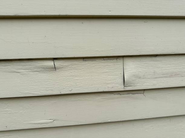 Best Engineered Wood Siding  in Elizabethtown, NC